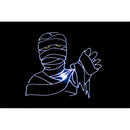 Laserworld - PL-5500RGB outdoor with ShowNET  - Purelight Series Outdoor Laser Projector 5'500 mW with ShowNet