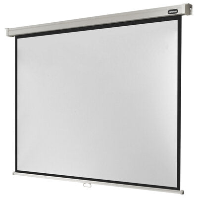 celexon - Manual professional screen, 220 x 165 cm, 4:3