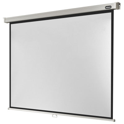 celexon - 1090052 - Manual Professional screen, 220 x 165 cm, 4:3