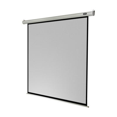 celexon - 1090066 - Electric Economy screen, 200 x 200 cm, 1:1