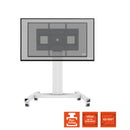 1091453 - Professional Plus Fixed height display trolley for 42 - 100" displays