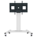 1091453 - Professional Plus Fixed height display trolley for 42 - 100" displays