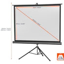 celexon - 1090020 - Tripod Economy screen, 211 x 160 cm, 4:3