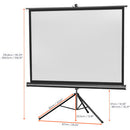 celexon - 1090020 - Tripod Economy screen, 211 x 160 cm, 4:3