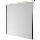 celexon - 1090252 - Manual Economy screen, 200 x 200 cm, 1:1