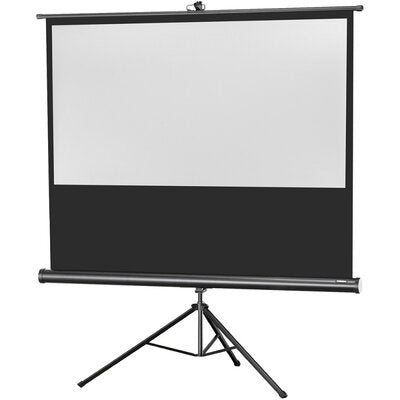 celexon - 1090259 - Tripod Economy screen, 133 x 75 cm, 16:9 aspect ratio