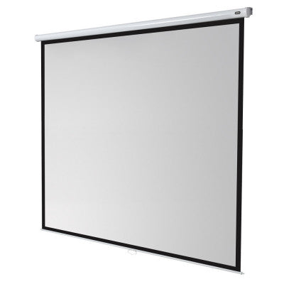 celexon - Manual Economy screen, 280 x 280 cm, 1:1