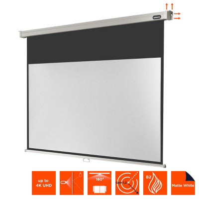 celexon - Manual Professional screen, 280 x 158 cm, 16:9