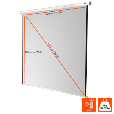 celexon - 1090028 - Manual Economy screen, 120 x 120 cm, 1:1