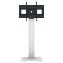 1091452 - Professional Plus Fixed height display stand for 42-100 inch displays