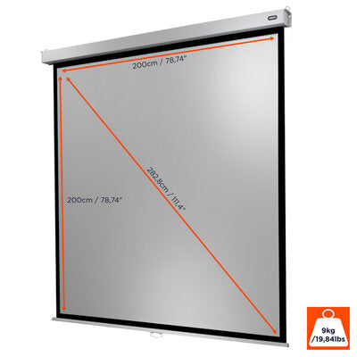 celexon - Manual Professional Plus screen, 200 x 200 cm, 1:1