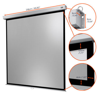 celexon - Manual Professional Plus screen, 200 x 200 cm, 1:1