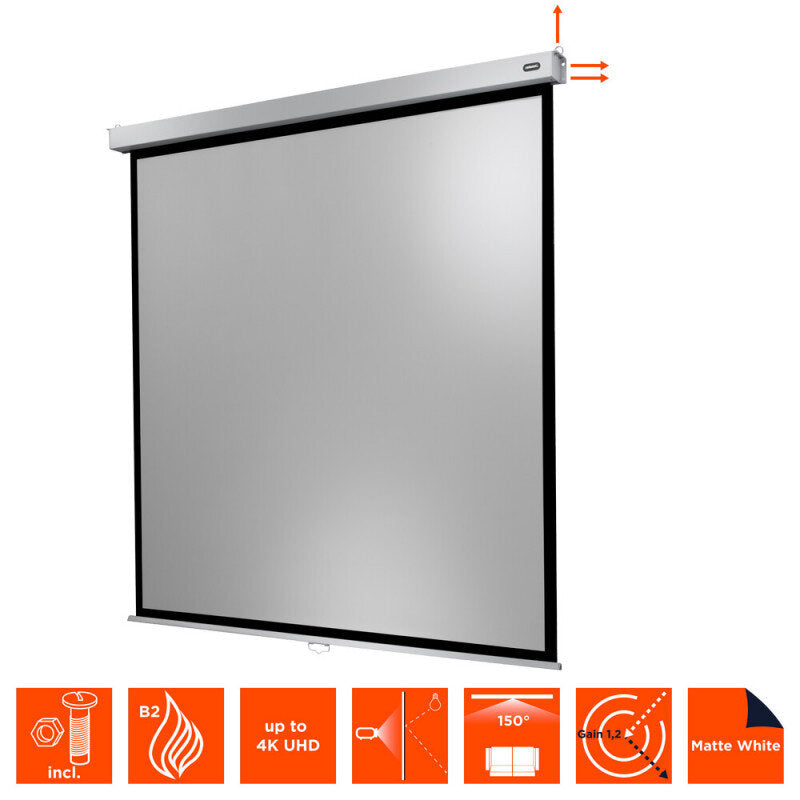 celexon - 1090777 - Manual Professional Plus screen, 200 x 200 cm, 1:1