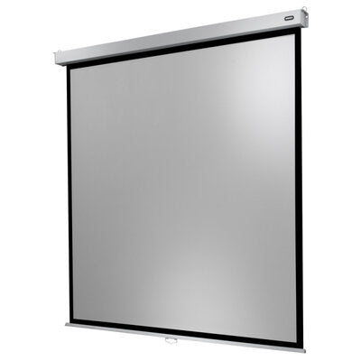 celexon - 1090777 - Manual Professional Plus screen, 200 x 200 cm, 1:1