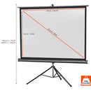 celexon - 1090019 - Tripod economy screen, 176 x 132 cm viewable area, 4:3 aspect ratio