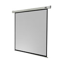 celexon - Electric economy screen, 160 x 160 cm, 1:1