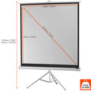 celexon - 1090271 - Tripod Economy screen, 219 x 219 cm, 1:1, white