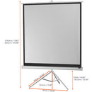celexon - 1090271 - Tripod Economy screen, 219 x 219 cm, 1:1, white