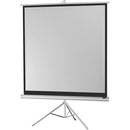 celexon - 1090271 - Tripod Economy screen, 219 x 219 cm, 1:1, white