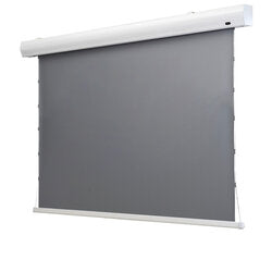 celexon - 1000008117 -  Dynamic Slate ALR HomeCinema High Contrast screen Tension, 221 x 124 cm, 100 inch, 16:9