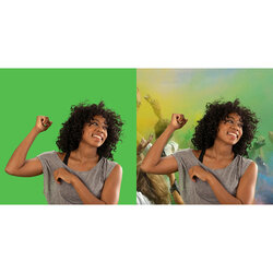 celexon - 1000010982 - Manual Chroma Key Green Screen 200 x 190 cm