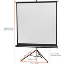 celexon - 1090017 - Tripod Economy screen, 219 x 219 cm, 1:1