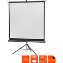 celexon - 1090017 - Tripod Economy screen, 219 x 219 cm, 1:1