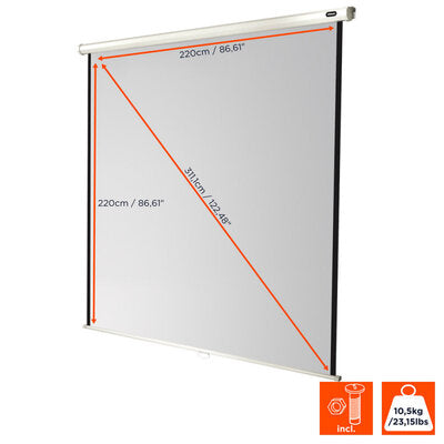 celexon - 1090031 - Manual Economy screen, 220 x 220 cm, 1:1 aspect ratio