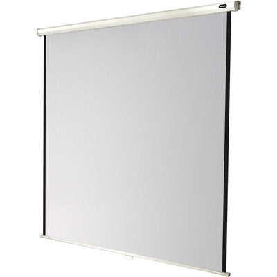 celexon - 1090031 - Manual Economy screen, 220 x 220 cm, 1:1 aspect ratio