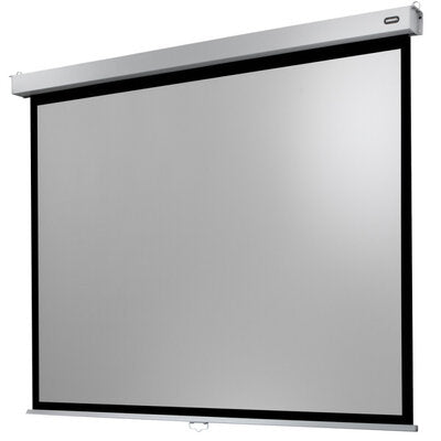 celexon - 1090806 - Manual Professional Plus screen, 280 x 210 cm, 4:3