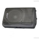 EXPERIA 12P   - 200 W RMS passive speaker