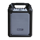 Power Acoustics - Portable 100 W battery-powered sound system, MP3 multimedia player, USB and SD card, Bluetooth receiver