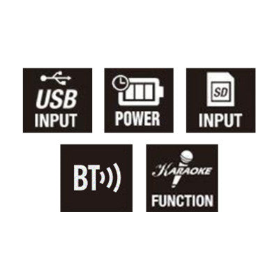 Power Acoustics - Portable LED sound system, USB + SD card + MIC and guitar/bass + record function, black