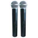 Segon Professional Audio - 130 W powered loudspeaker with 2 UHF microphones and USB / SD / MP3 / Bluetooth