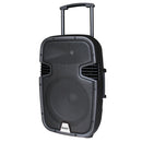 Segon Professional Audio - 130 W powered loudspeaker with 2 UHF microphones and USB / SD / MP3 / Bluetooth