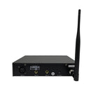 INEAR 200  - UHF double Ear-Monitor system