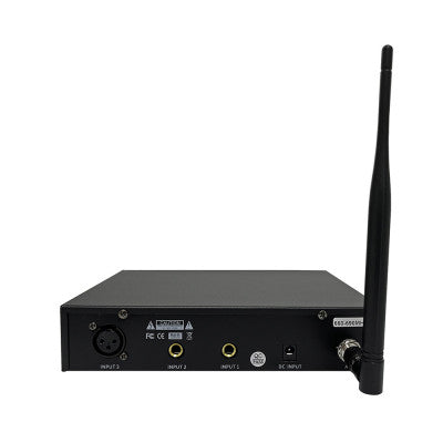 INEAR 200  - UHF double Ear-Monitor system