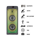 GOFUN 300  - USB + BT portable sound system