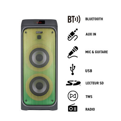 GOFUN 300  - USB + BT portable sound system