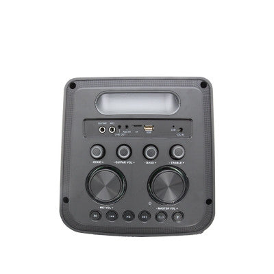GOFUN 300  - USB + BT portable sound system