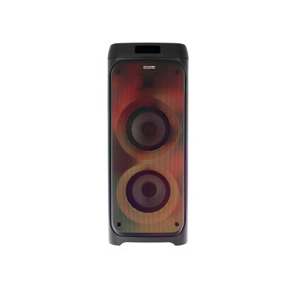 GOFUN 300  - USB + BT portable sound system