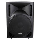 IPS-12 - 200 W passive indoor / outdoor loudspeaker, 12" woofer, 8 ohms