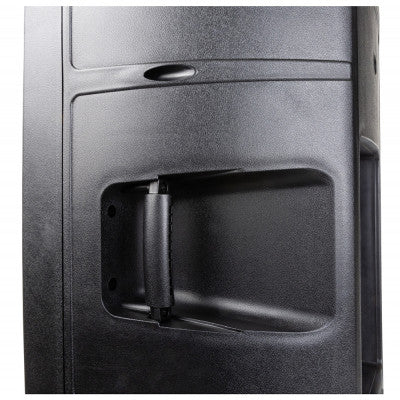 IPS-12 - 200 W passive indoor / outdoor loudspeaker, 12" woofer, 8 ohms