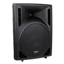 IPS-12 - 200 W passive indoor / outdoor loudspeaker, 12" woofer, 8 ohms