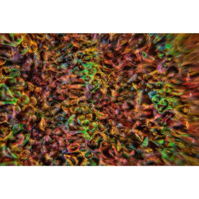 DELUSION - 100 W LED water / cloud / fire multi-effect