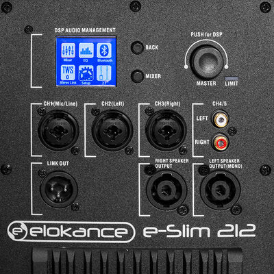 Elokance - 1600 W active sound system with 12" subwoofer and 2 "slim" columns satellites with 4 x 3" drivers each