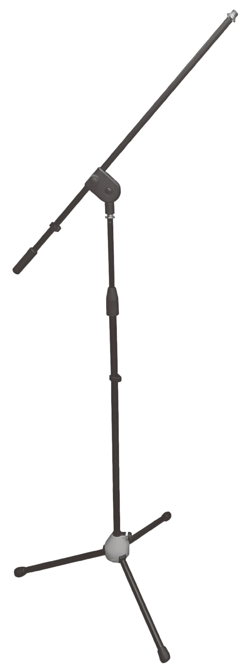Asta microfonica