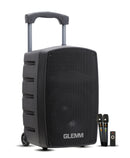 Diffusore ricaricabile 300W con doppio radiomicrofono