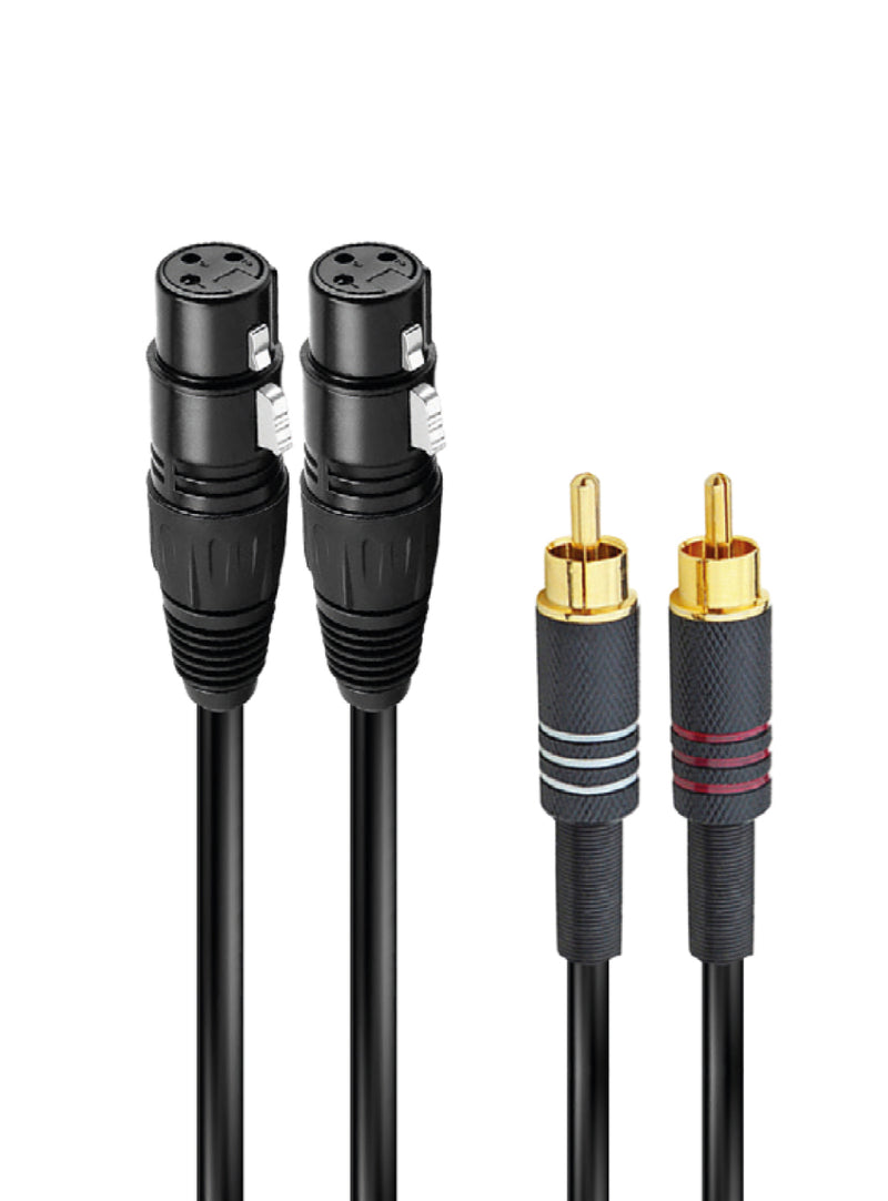 RIDEM - Cavo audio 2 XRL f a 2 RCA m 1,5mt