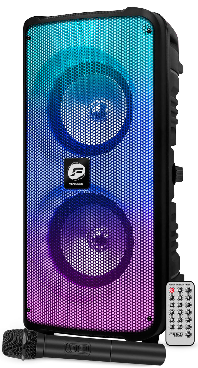 Diffusore amplificato ricaricabile 300W